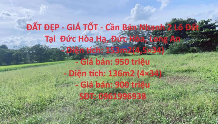 ĐẤT ĐẸP - GIÁ TỐT - Cần Bán Nhanh 2 Lô Đất Tại  Đức Hòa Hạ, Đức Hòa, Long An